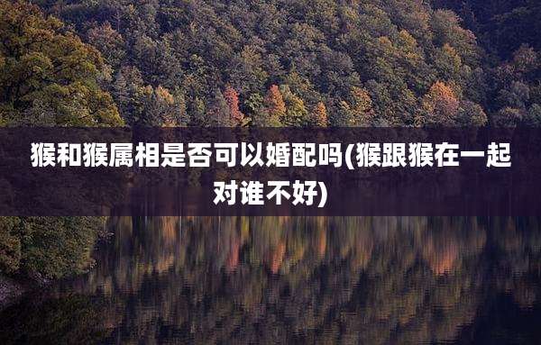猴和猴属相是否可以婚配吗(猴跟猴在一起对谁不好)