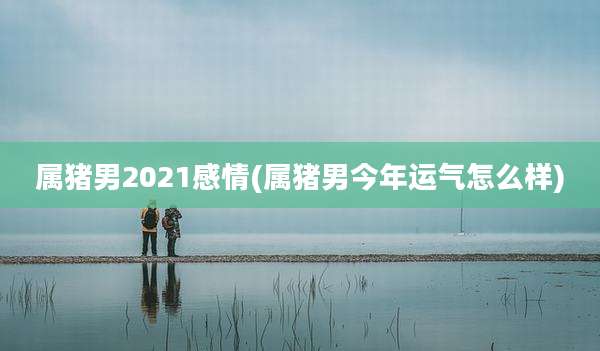 属猪男2021感情(属猪男今年运气怎么样)