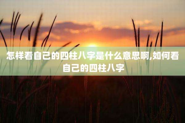 怎样看自己的四柱八字是什么意思啊,如何看自己的四柱八字