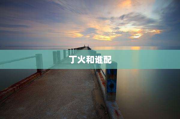丁火和谁配