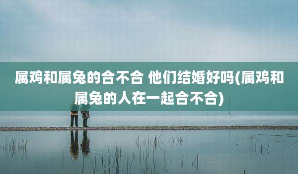 属鸡和属兔的合不合 他们结婚好吗(属鸡和属兔的人在一起合不合)