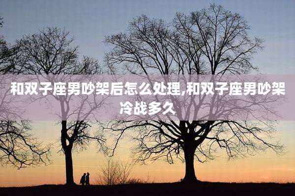 和双子座男吵架后怎么处理,和双子座男吵架冷战多久