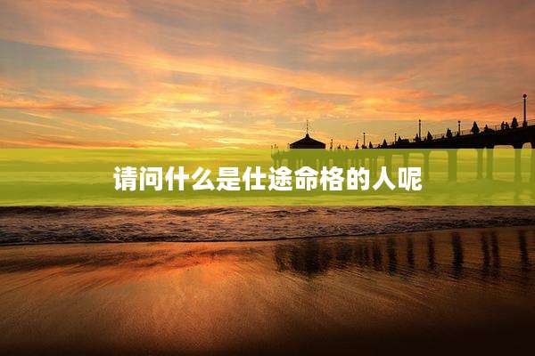 请问什么是仕途命格的人呢