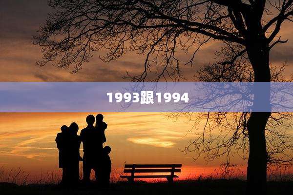 1993跟1994