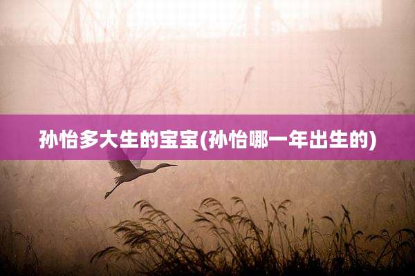 孙怡多大生的宝宝(孙怡哪一年出生的)