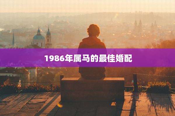 1986年属马的最佳婚配