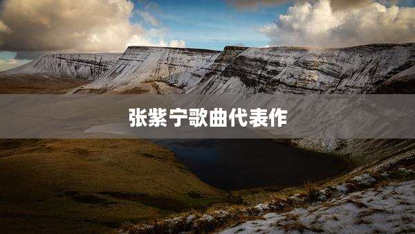 张紫宁歌曲代表作
