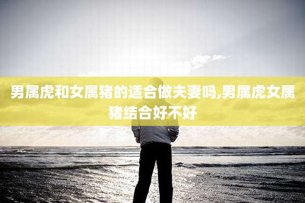 男属虎和女属猪的适合做夫妻吗,男属虎女属猪结合好不好