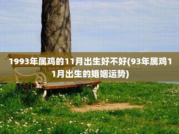 1993年属鸡的11月出生好不好(93年属鸡11月出生的婚姻运势)