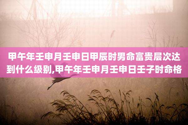 甲午年壬申月壬申日甲辰时男命富贵层次达到什么级别,甲午年壬申月壬申日壬子时命格