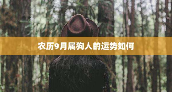 农历9月属狗人的运势如何