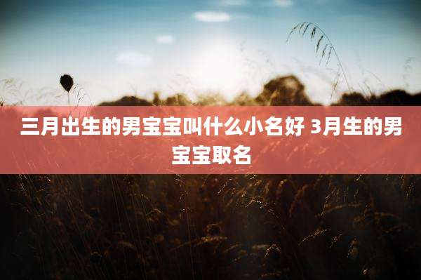 三月出生的男宝宝叫什么小名好 3月生的男宝宝取名