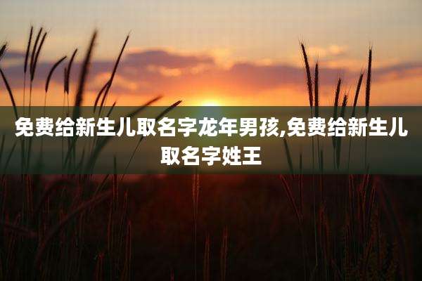 免费给新生儿取名字龙年男孩,免费给新生儿取名字姓王