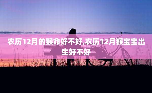 农历12月的猴命好不好,农历12月猴宝宝出生好不好