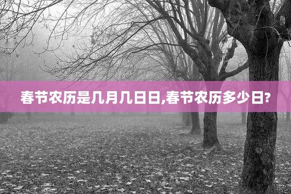 春节农历是几月几日日,春节农历多少日?