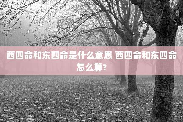 西四命和东四命是什么意思 西四命和东四命怎么算?