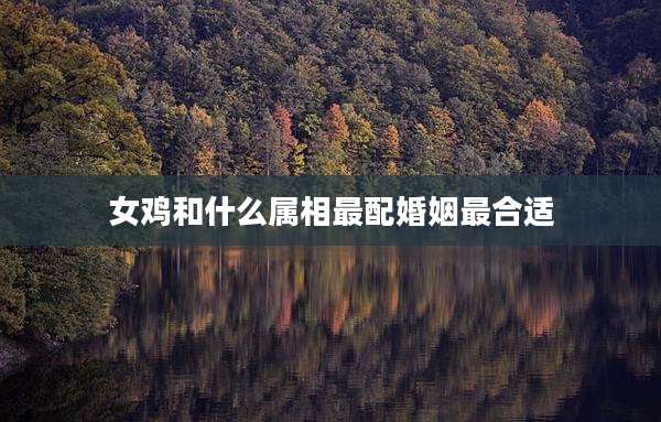 女鸡和什么属相最配婚姻最合适