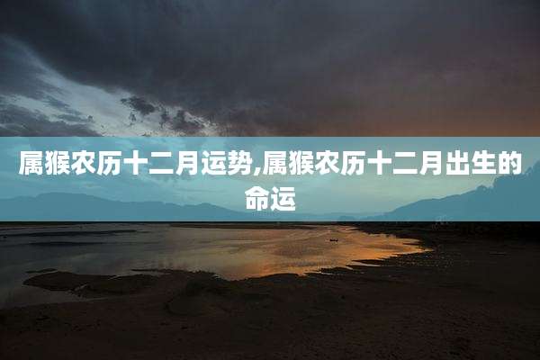 属猴农历十二月运势,属猴农历十二月出生的命运