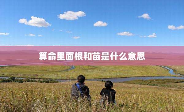 算命里面根和苗是什么意思