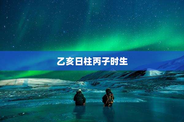 乙亥日柱丙子时生