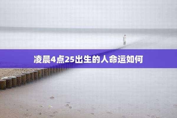 凌晨4点25出生的人命运如何