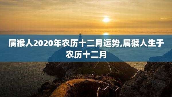 属猴人2020年农历十二月运势,属猴人生于农历十二月