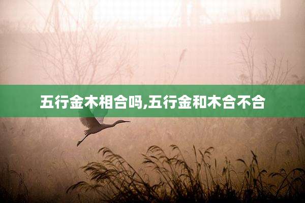 五行金木相合吗,五行金和木合不合