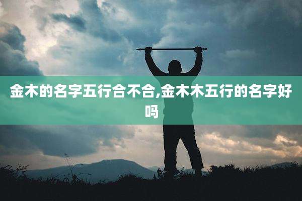 金木的名字五行合不合,金木木五行的名字好吗