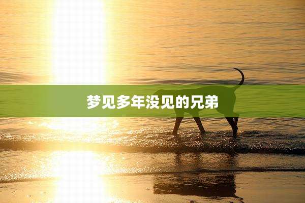 梦见多年没见的兄弟