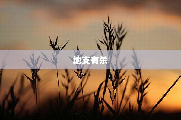 地支有杀