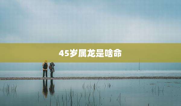 45岁属龙是啥命