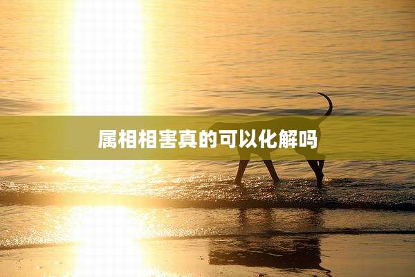 属相相害真的可以化解吗