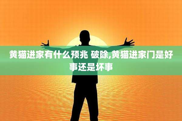 黄猫进家有什么预兆 破除,黄猫进家门是好事还是坏事