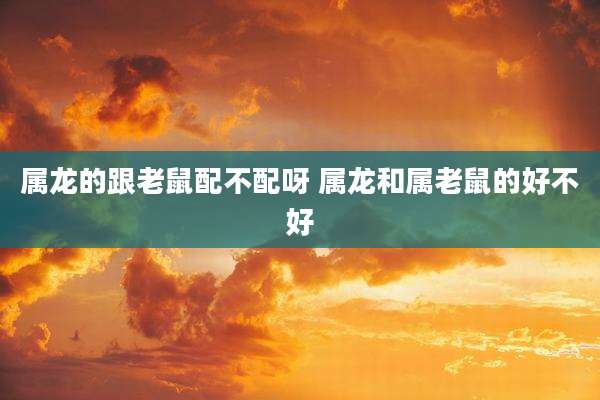 属龙的跟老鼠配不配呀 属龙和属老鼠的好不好