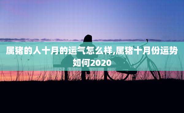 属猪的人十月的运气怎么样,属猪十月份运势如何2020