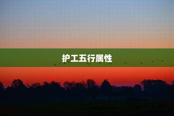 护工五行属性