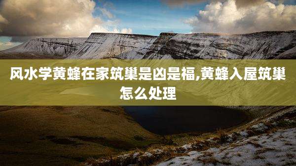 风水学黄蜂在家筑巢是凶是福,黄蜂入屋筑巢怎么处理