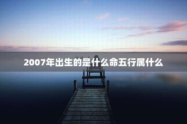 2007年出生的是什么命五行属什么