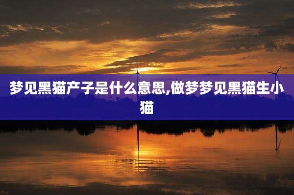 梦见黑猫产子是什么意思,做梦梦见黑猫生小猫