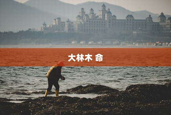 大林木 命