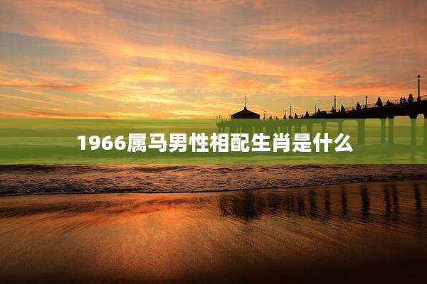 1966属马男性相配生肖是什么