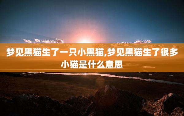 梦见黑猫生了一只小黑猫,梦见黑猫生了很多小猫是什么意思