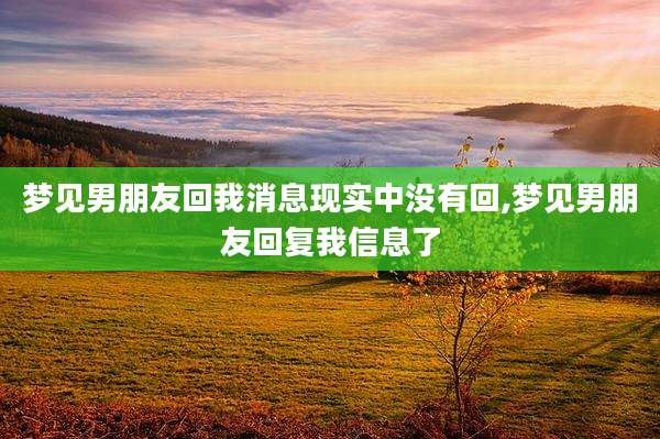 梦见男朋友回我消息现实中没有回,梦见男朋友回复我信息了