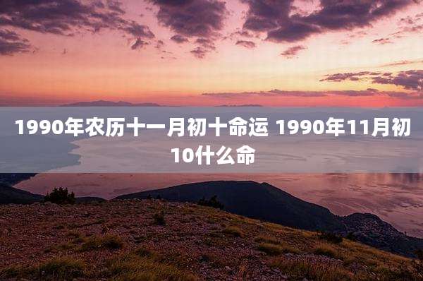1990年农历十一月初十命运 1990年11月初10什么命