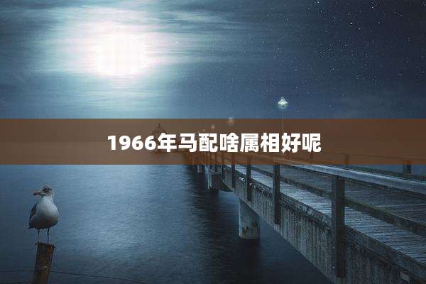 1966年马配啥属相好呢