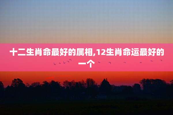 十二生肖命最好的属相,12生肖命运最好的一个