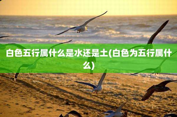 白色五行属什么是水还是土(白色为五行属什么)