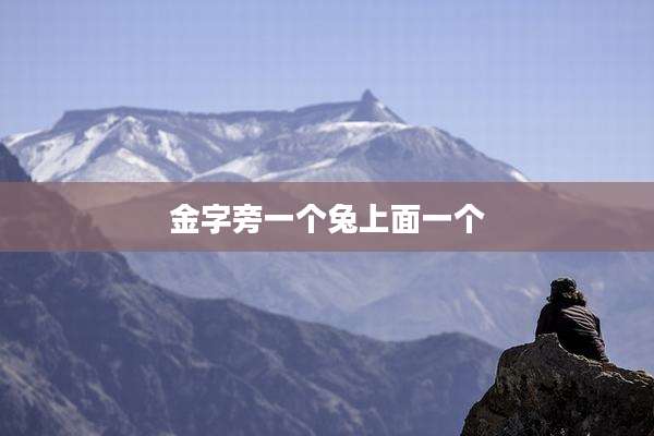 金字旁一个兔上面一个