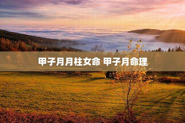 甲子月月柱女命 甲子月命理