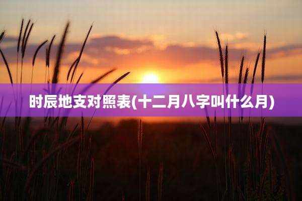 时辰地支对照表(十二月八字叫什么月)